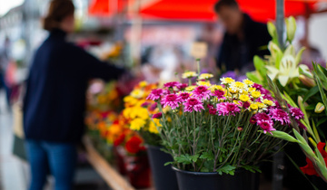 Marktstand mit Blumen Marktstand mit Blumen