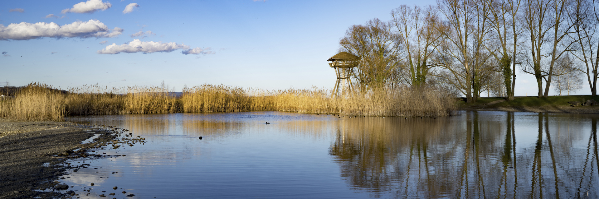 Aussichtsturm Seeburgpark