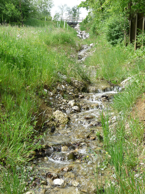 Wasserlauf Chogenbach Chogenbach Wasserlauf