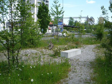 Biodiversit&auml;t