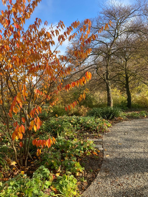 Zentralfriedhof Zentralfriedhof
