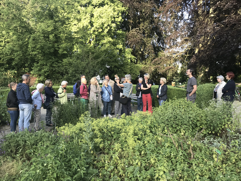 Kreuzlingen entdecken- Kr&auml;uter im Wandel der Natur