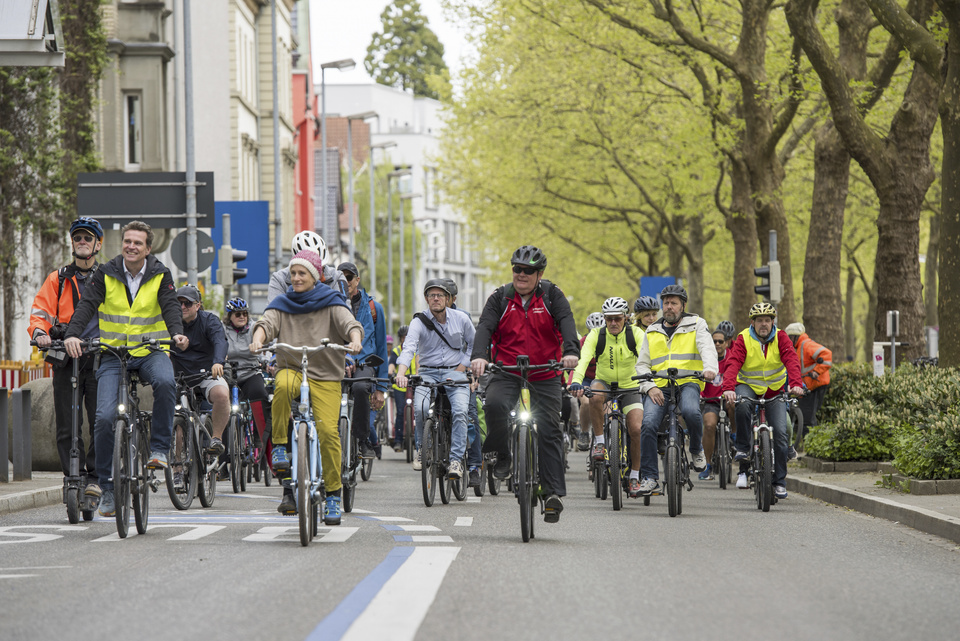 VeloPicknick 2024 Laube